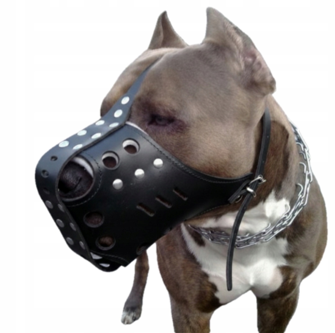 Kaganiec Skórzany Amstaff Pitbull Na Wymiar