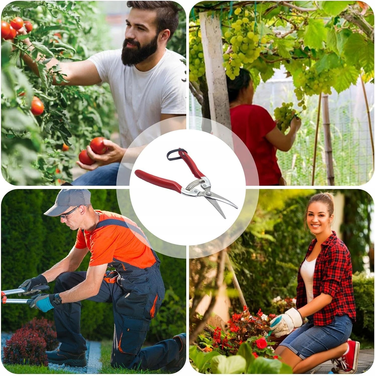 SEKATOR NOŻYCE OGRODOWY RĘCZNY DO KRZEWÓW KWIATÓW GAŁĘZI OSTRY SOLIDNY Zasilanie ręczne