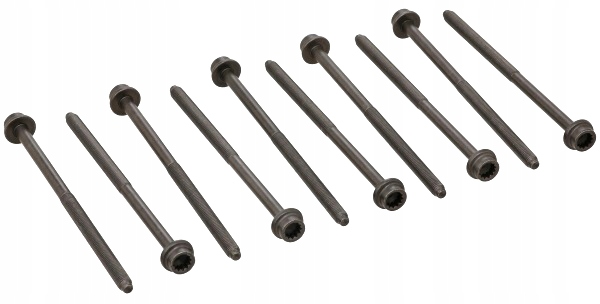 Комплект болтів головки блоку циліндрів ELRING 228.470