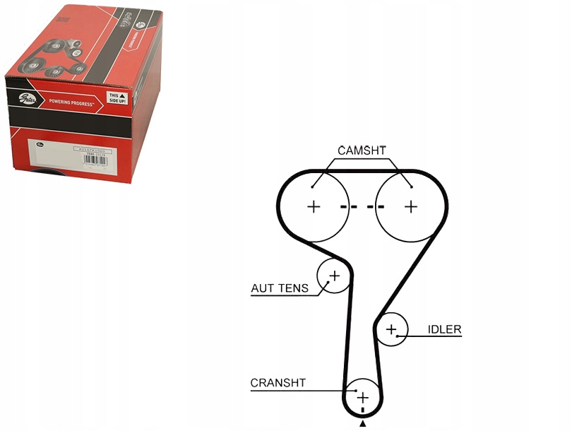 Rozvodový Řemen Gates 71739873 24422964 24405968 55