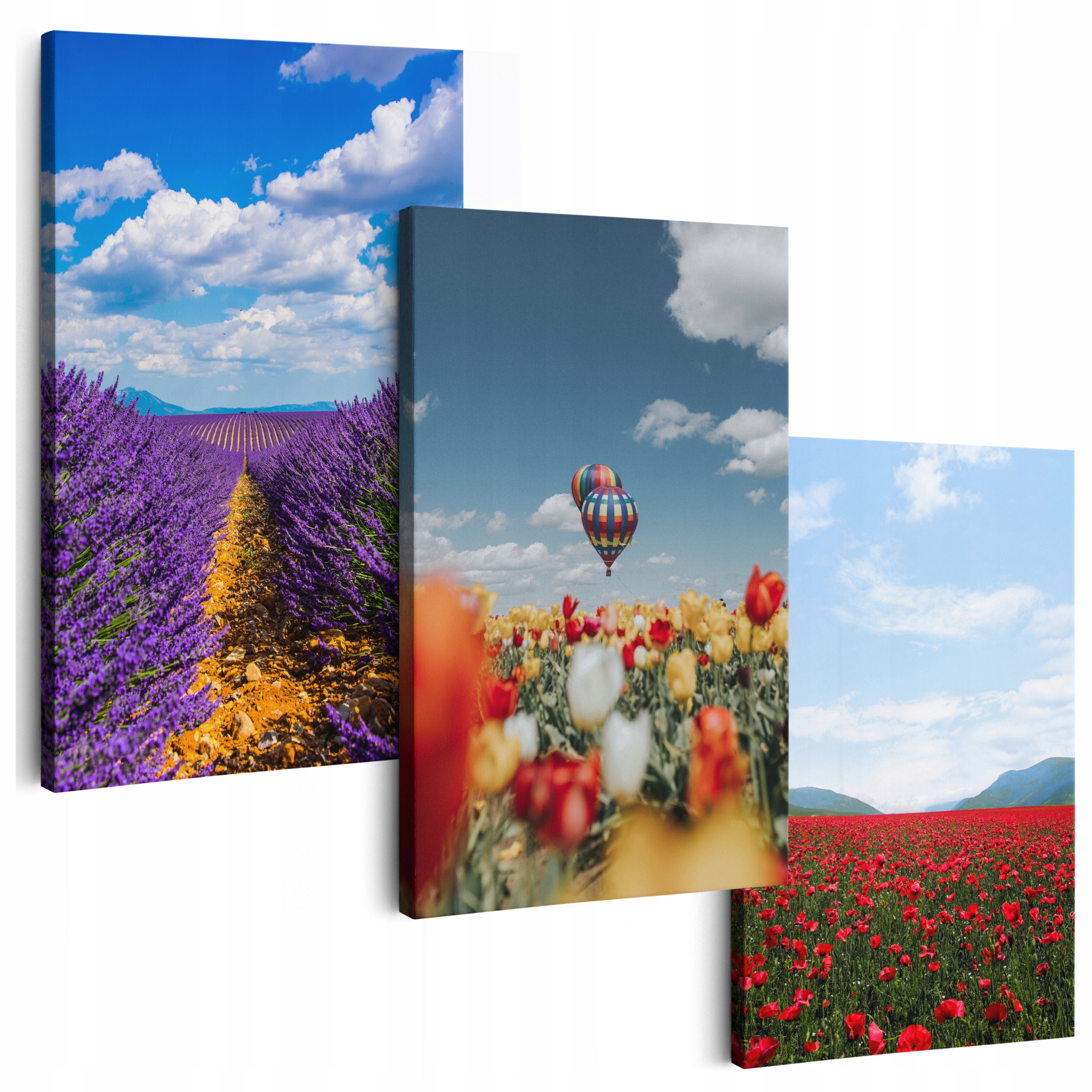 Obraz Na Plátně 180 cm **mnoho vzorů** Obrazy Do Obývacího Pokoje Triptyki Květiny