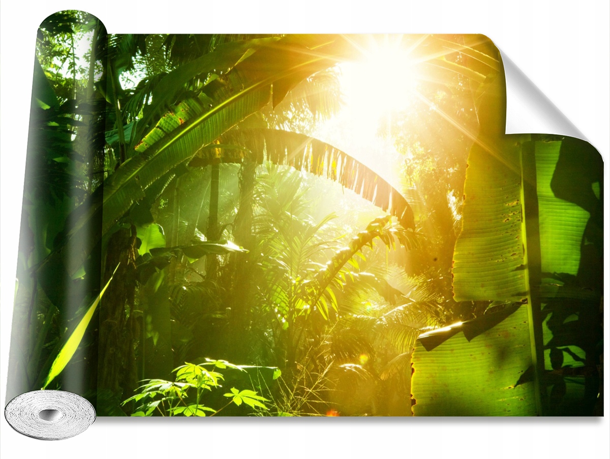 

Tapeta Samoprzylepna Dżungla w Wietnamie 208x146