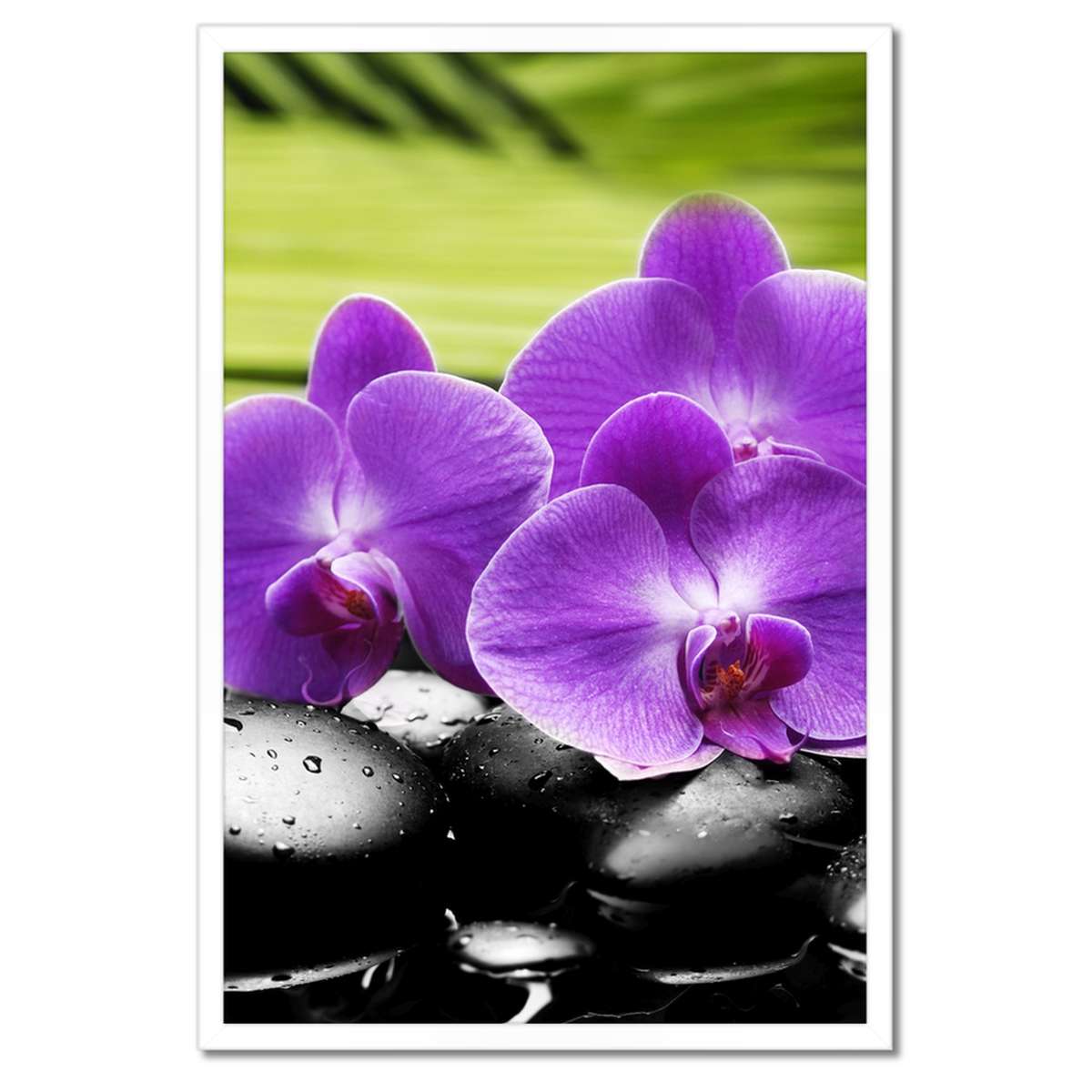 Plakáty v rámu 40x60 Orchideje na kamenech