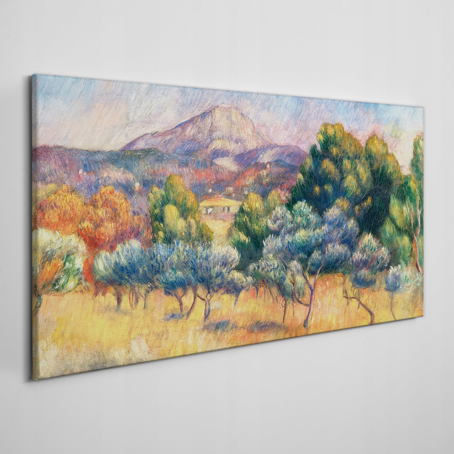 

Obraz na ramie płótno Las góra krajobraz 100x50 cm