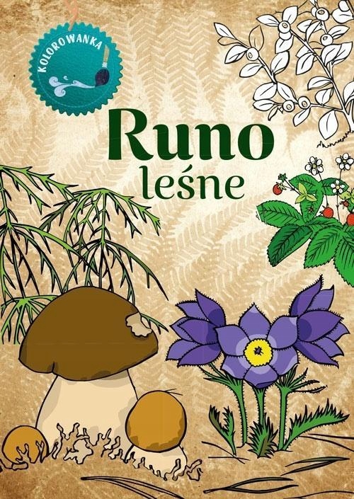 Kolorowanka. Runo Leśne, Katarzyna Kopiec Sekieta