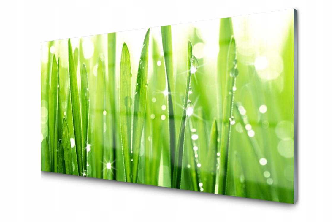 

Panel szklany dekor Trawa Roślina 120x60 + Klej