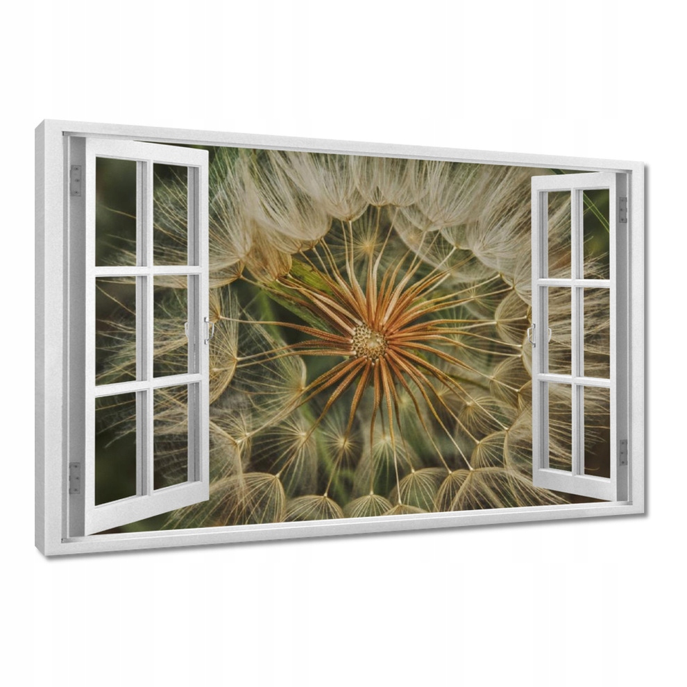 

Obrazy 120x80 Dmuchawiec Kwiat Kwiatki