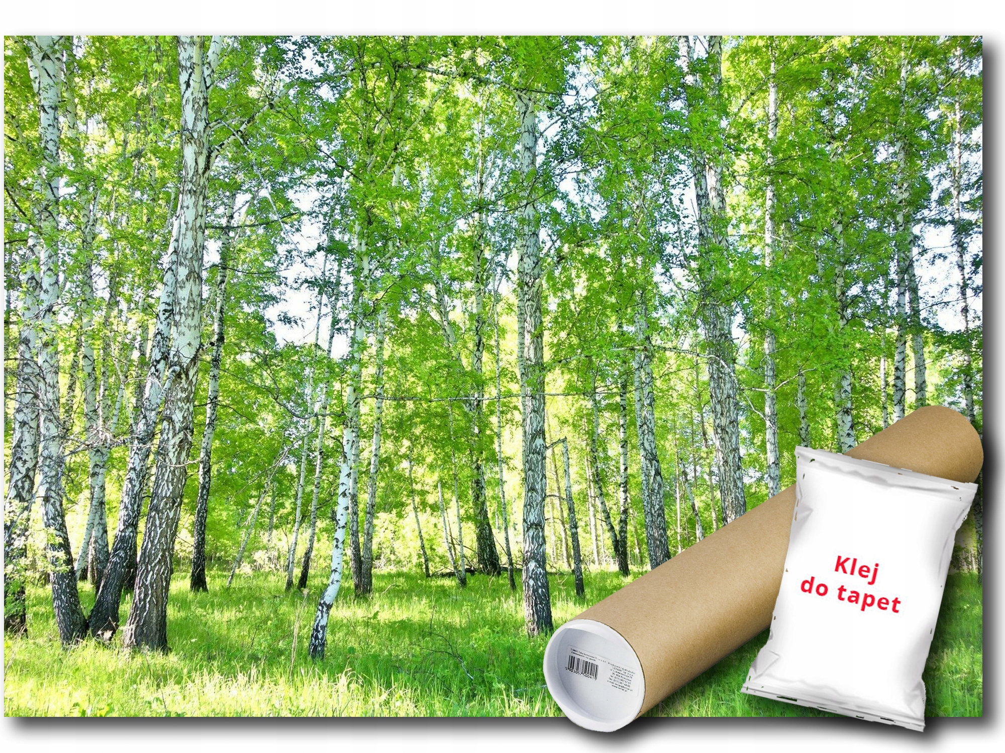 Vinylová Fototapeta Les Stromy Brezy 312x219