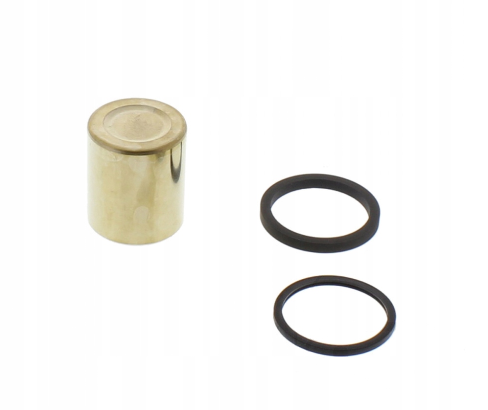 AKU-347 - ПОРШЕНЬ ГАЛЬМІВНОГО СУПОРТА YAMAHA XTZ 750