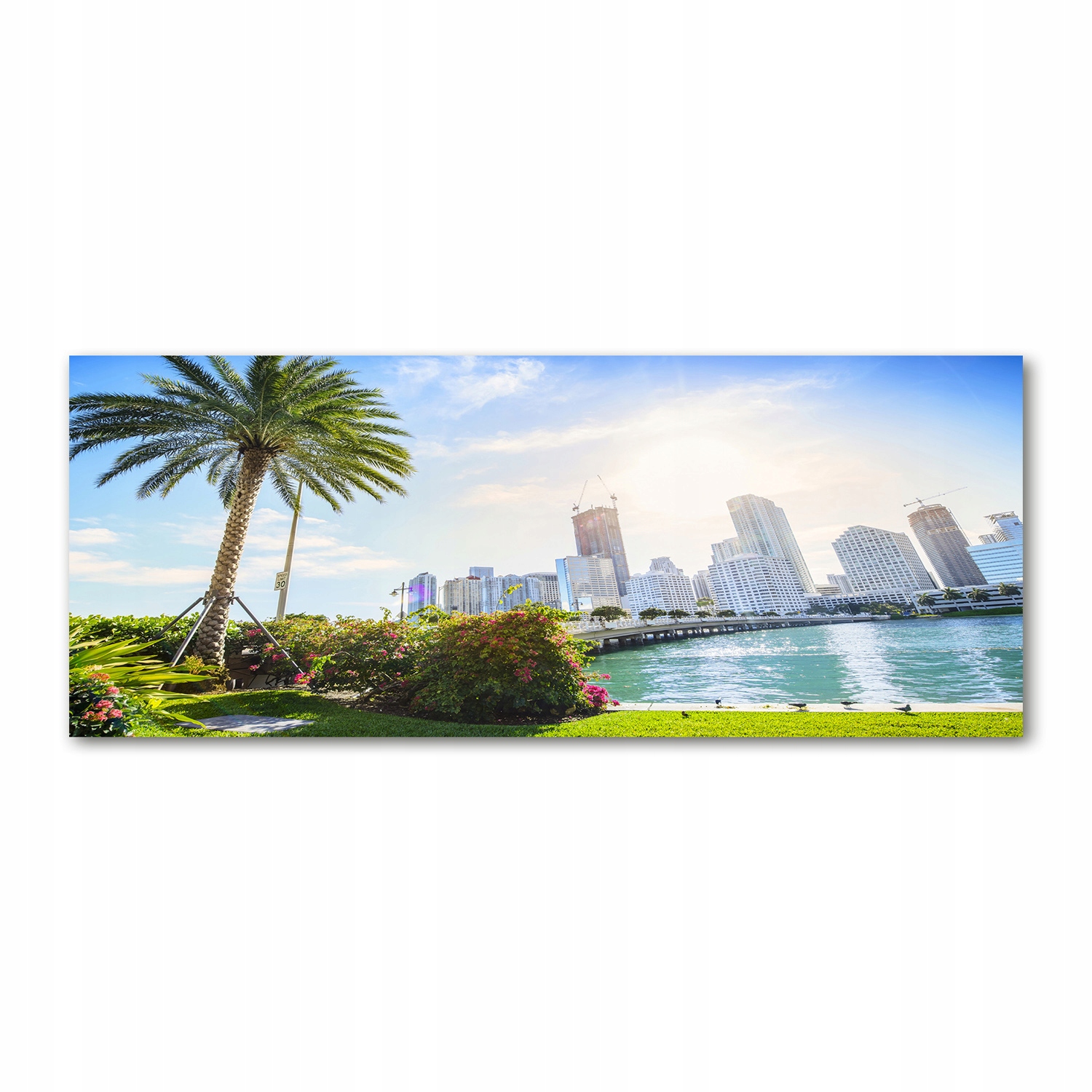 

Foto obraz na szkle akrylowym Miami Usa 125x50 cm