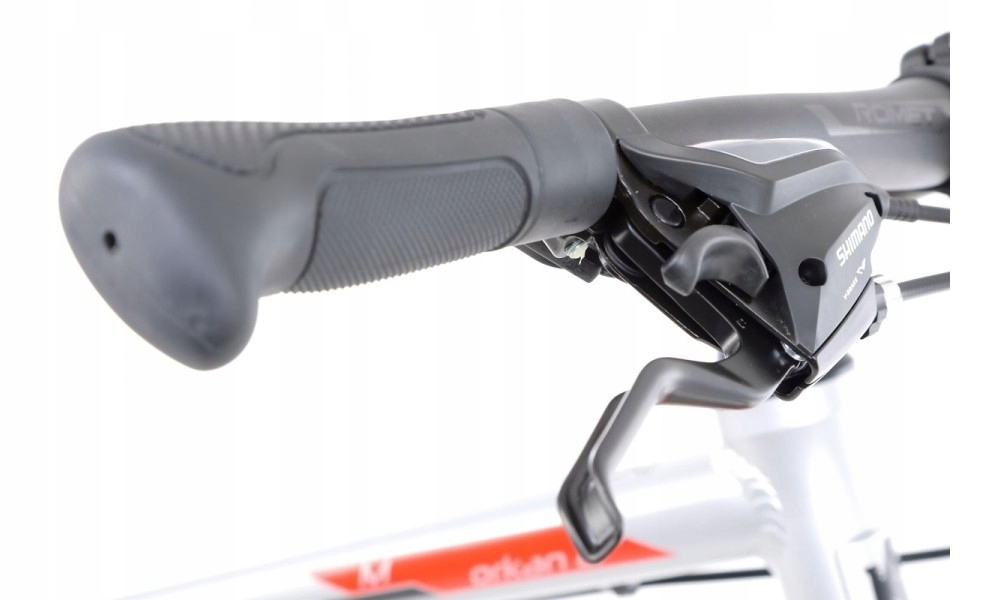 Rower Romet Orkan 1D 19''L ciemnoróżowy 2022r Kod producenta 2228360