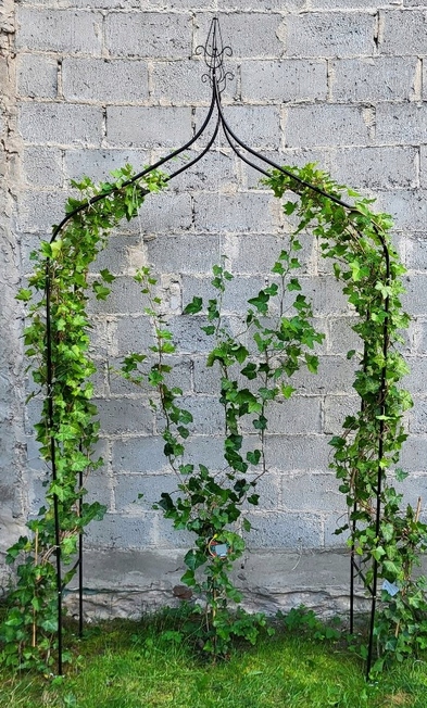 PERGOLA OGRODOWA TARASOWA METALOWA PODPORA DO PNĄCZY WINOGRON RÓŻ ŁUK 240cm Rodzaj łuk