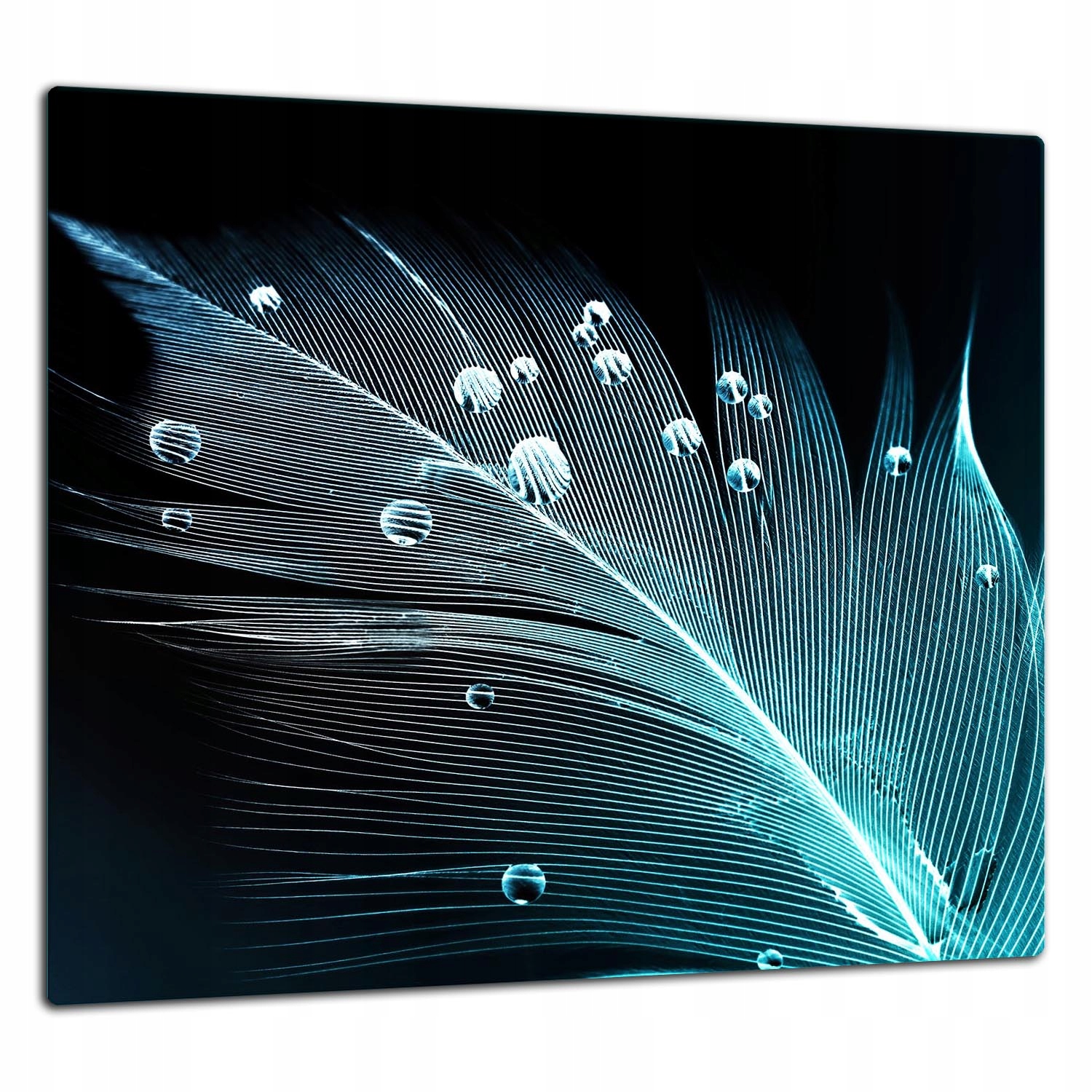 Skleněná Ochranná Deska Panel Lepidlo 65x60 Pero Tvrzené sklo 7v1