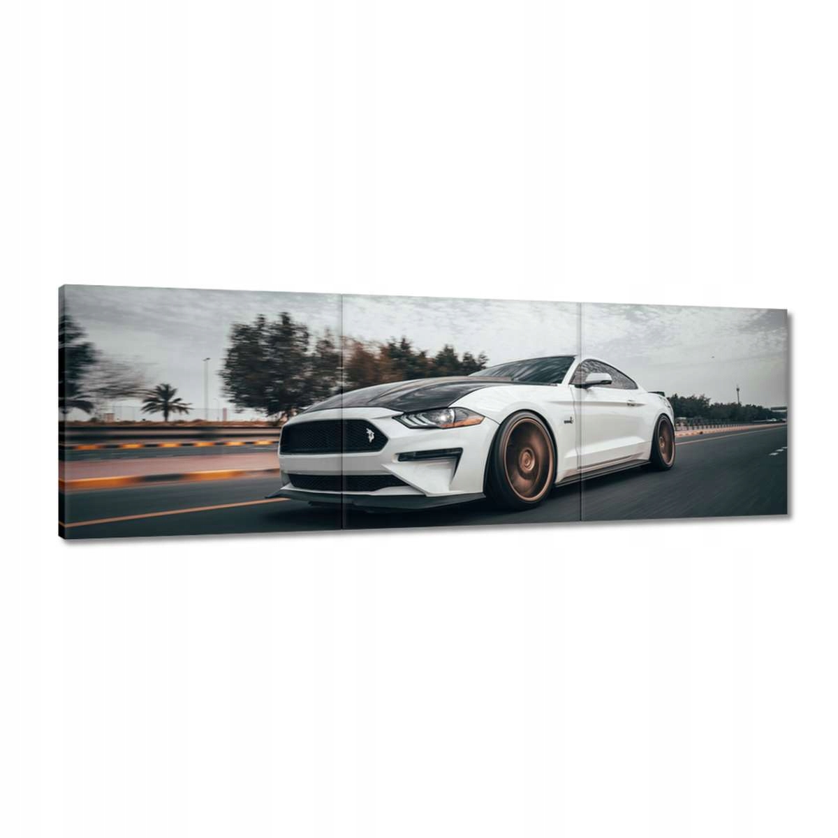 Obrazy 150x50 Bílý Ford Mustang Auto