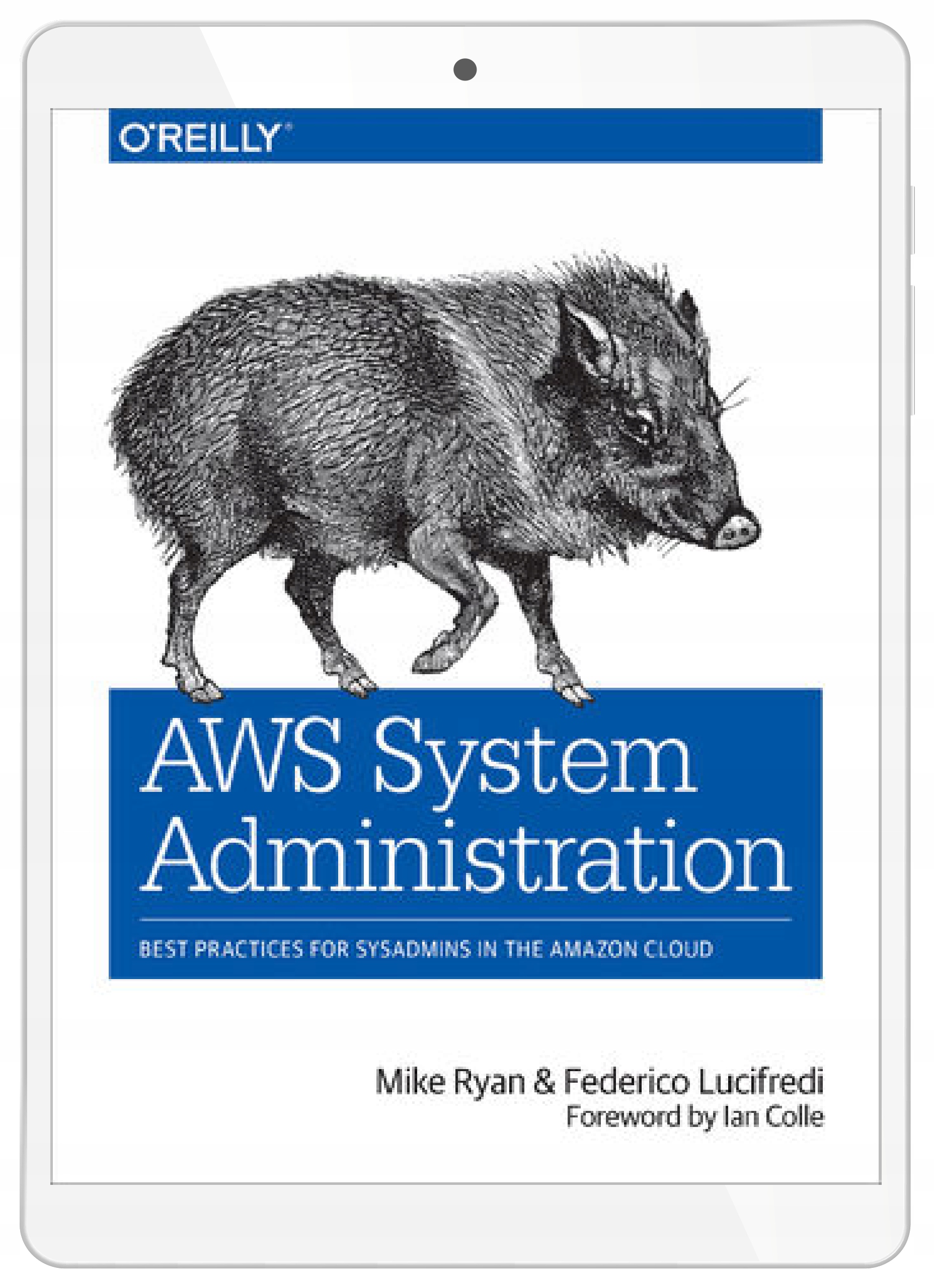 AWS System Administration. Best Practices for Sysadmins in the Amazon Cloud
