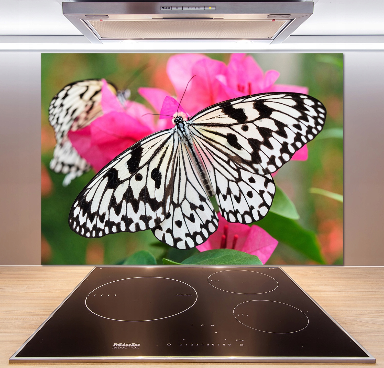 

Panel do kuchni Motyl na kwiatku 100x70 cm + Klej