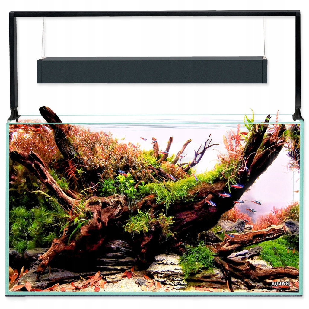 Akvarijní set Aquael Ultrascape 60 forest, 64,8l