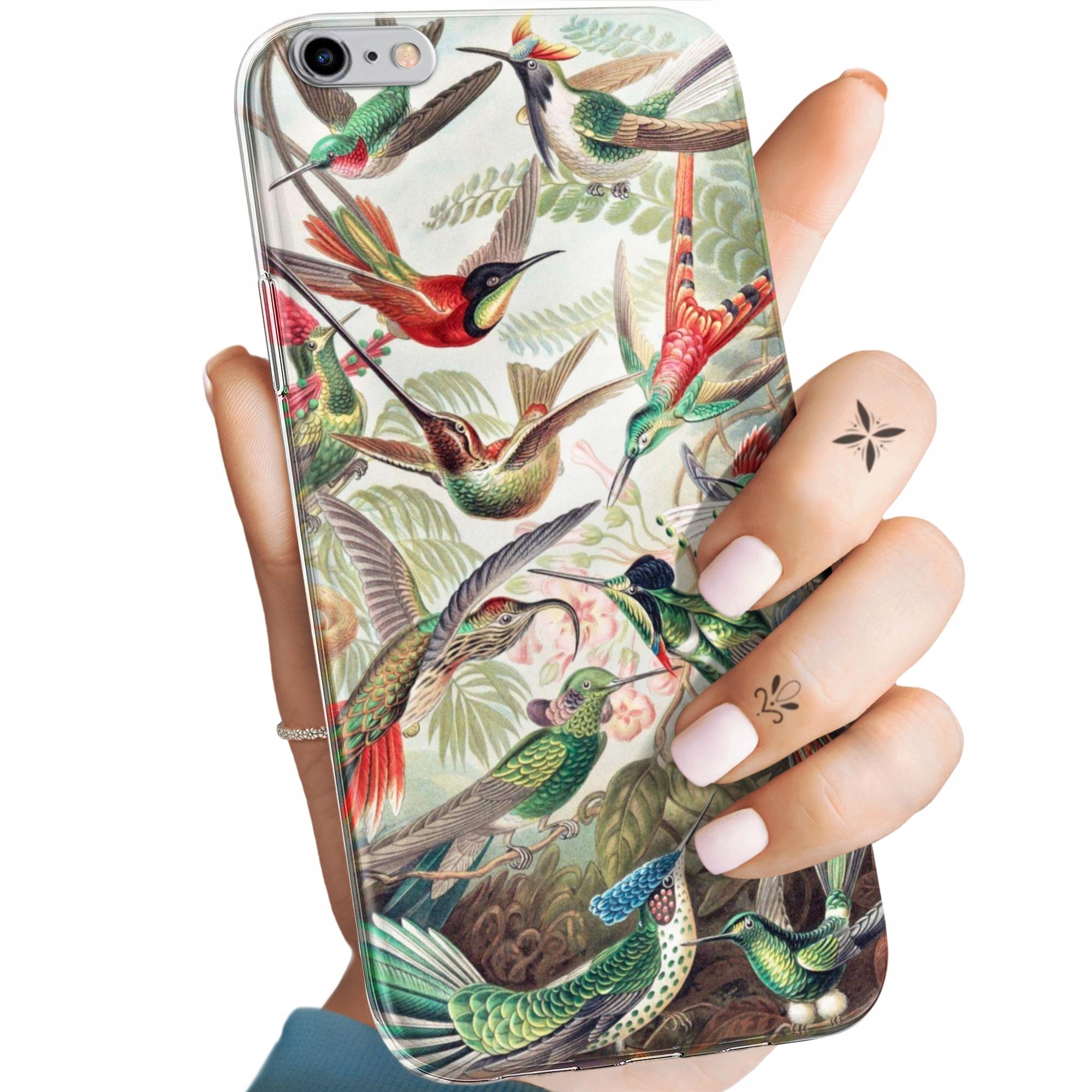 Etui Do Iphone 6 Plus 6S Plus Ernst Haeckel Przyroda Botanika Case