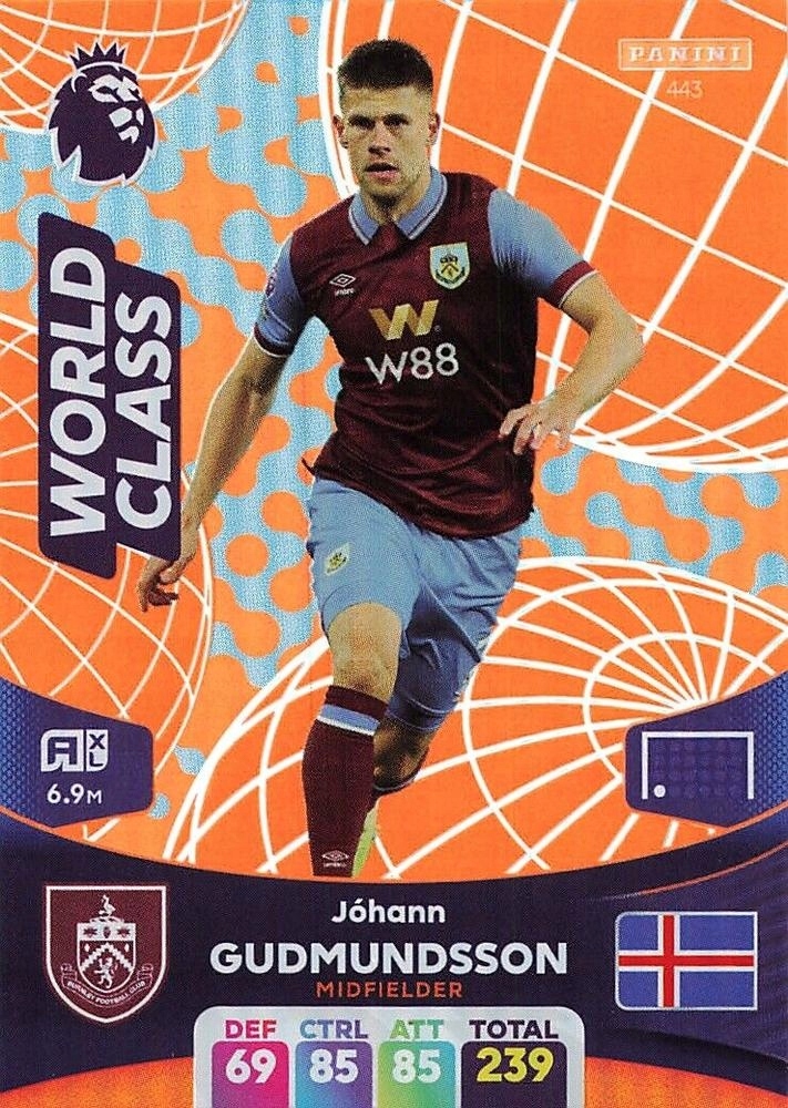 Premier League 2024 443 Jóhann Berg Guðmundsson Pa