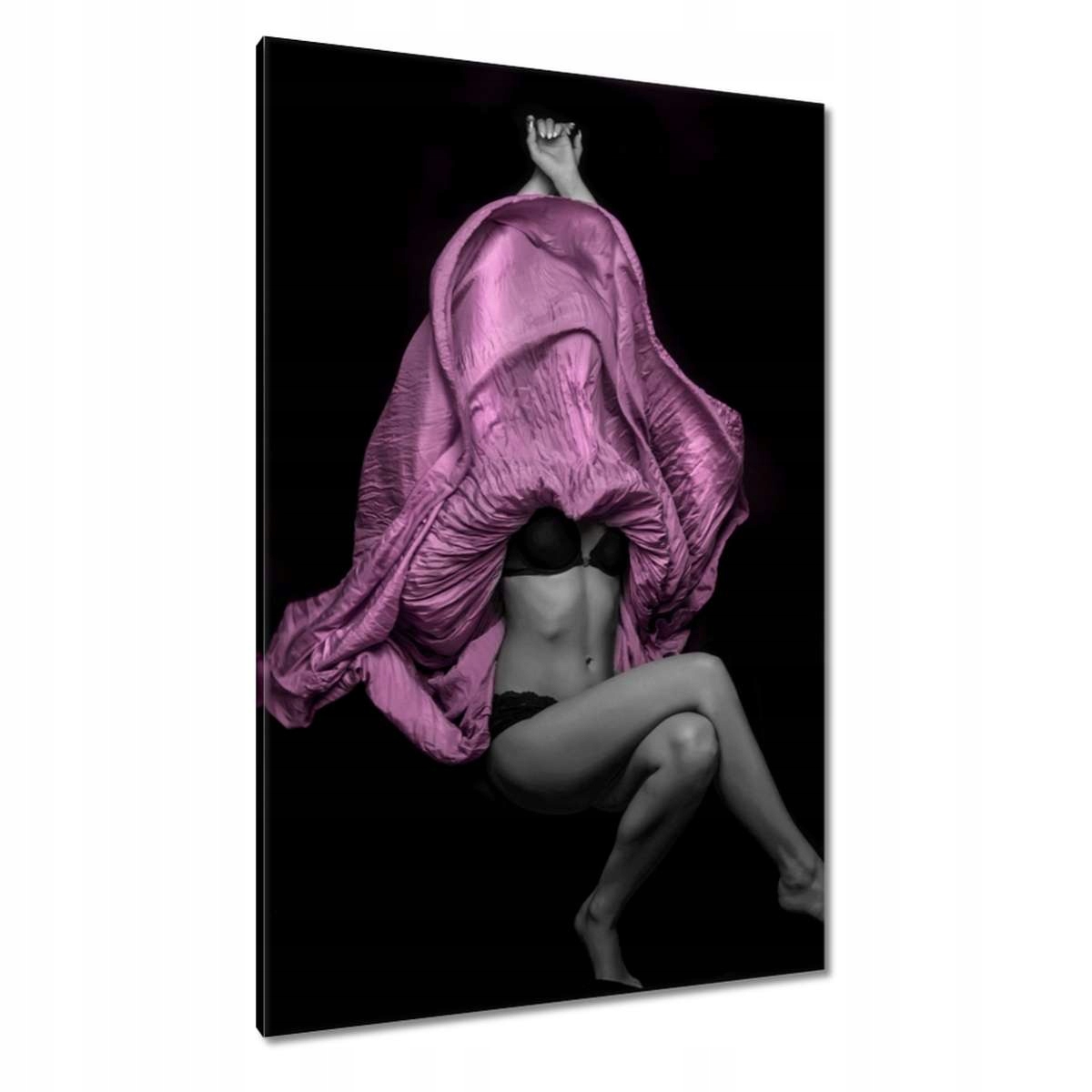 Obrazy 80x120 Pěkné ženy Kočky Babičky