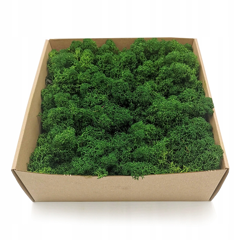 

Mech Chrobotek Alpejski Premium 500g Netto