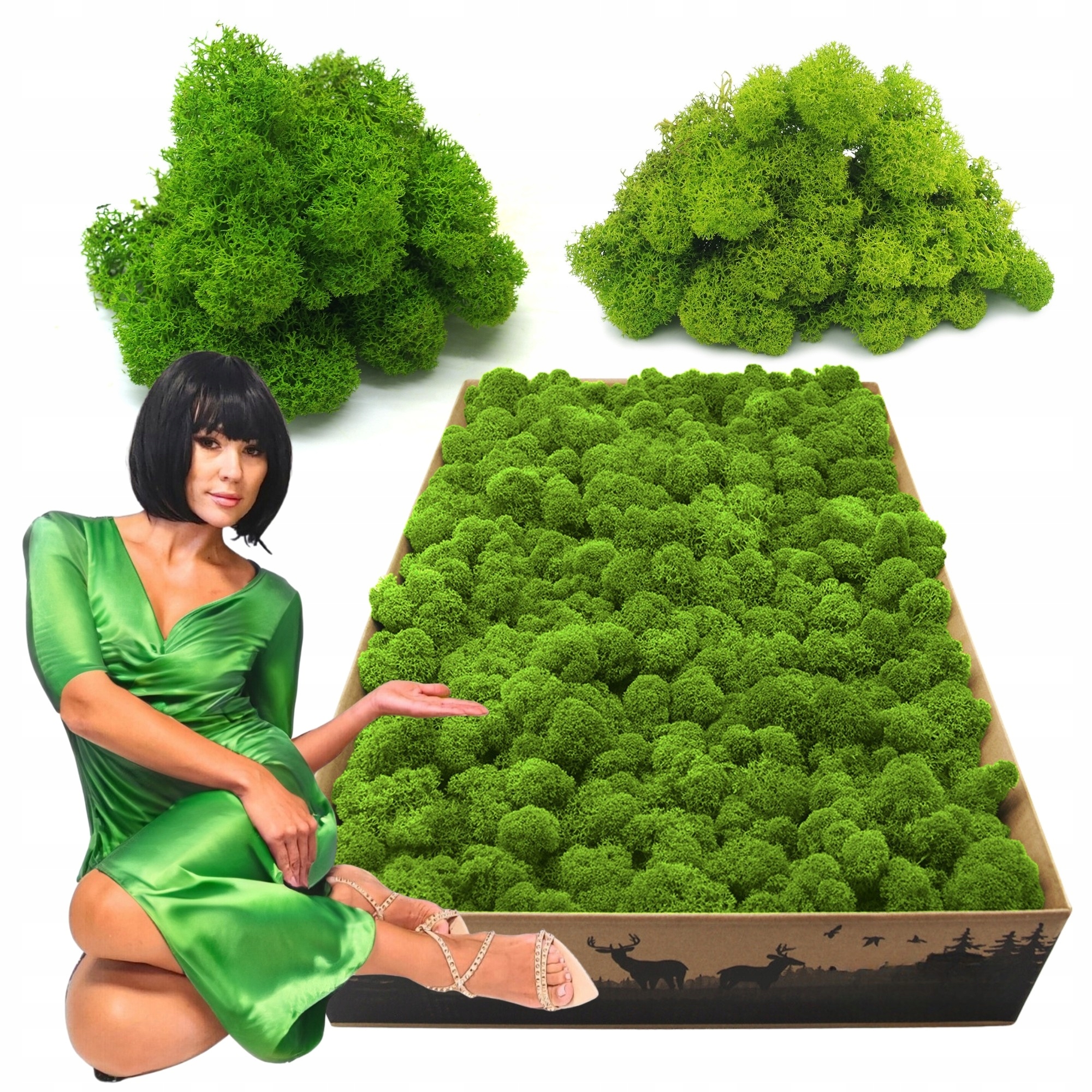 Mech Chrobotek Reniferový finský 2kg Čištěný Premium světle zelený