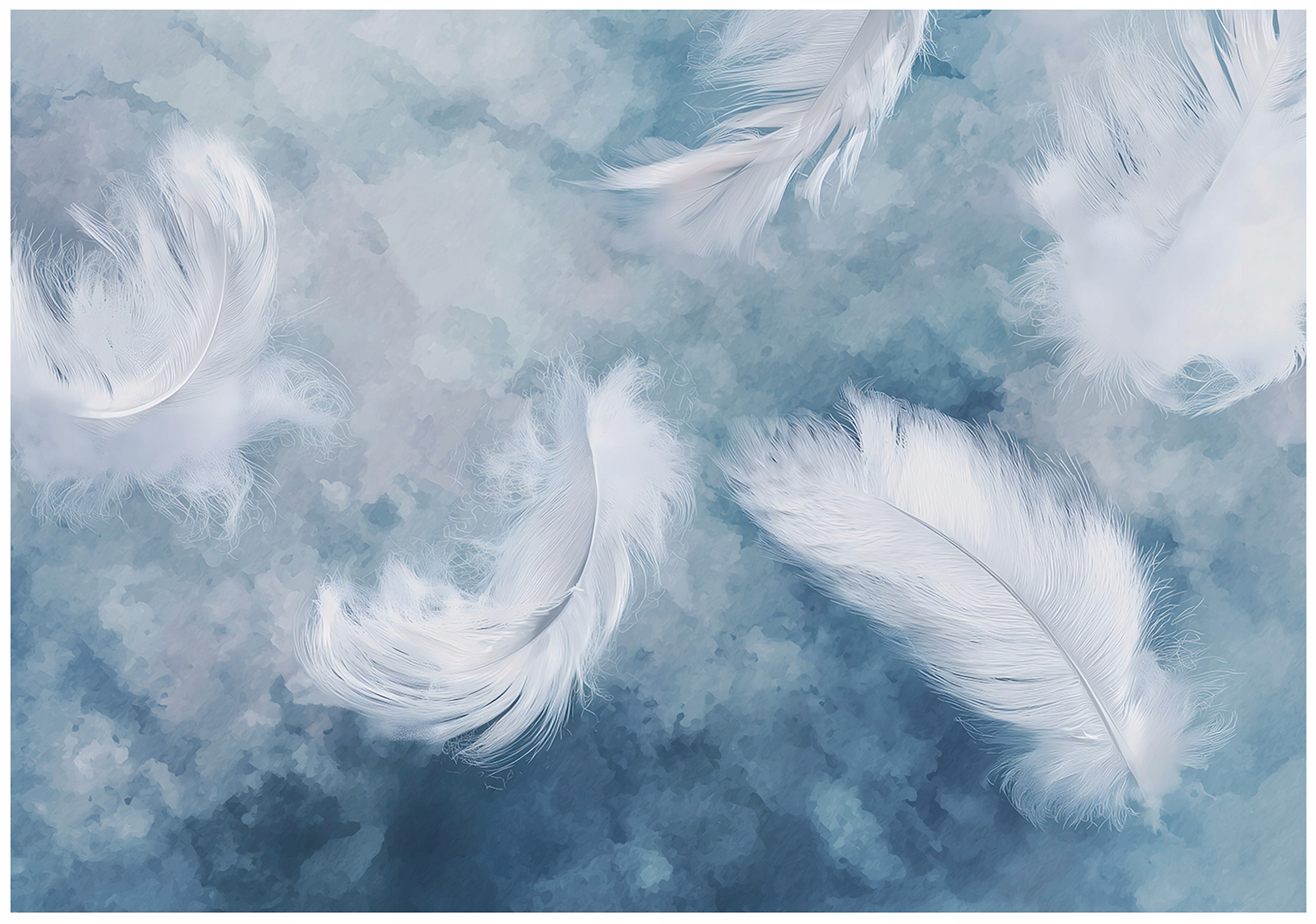 Fototapeta Modré Peří Art Tapeta Do Předsíně Obývacího Pokoje Kanceláře 200x140