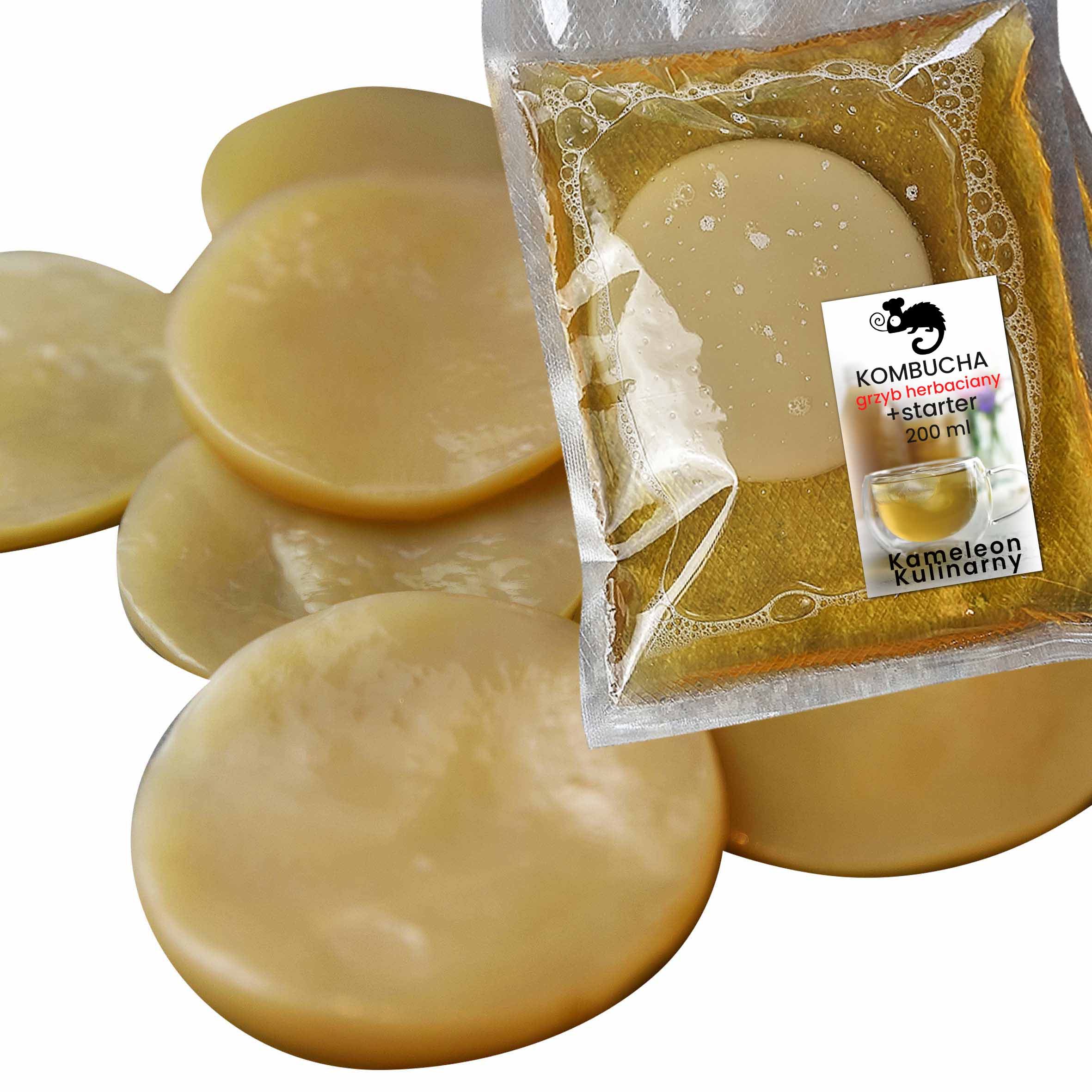 

Grzybek Herbaciany 8-10 cm Kombucha starter ulotka