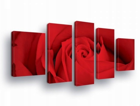 Obraz 170x100 Červená ruža kvet okvetné lístky vášeň láska elegancia umenie