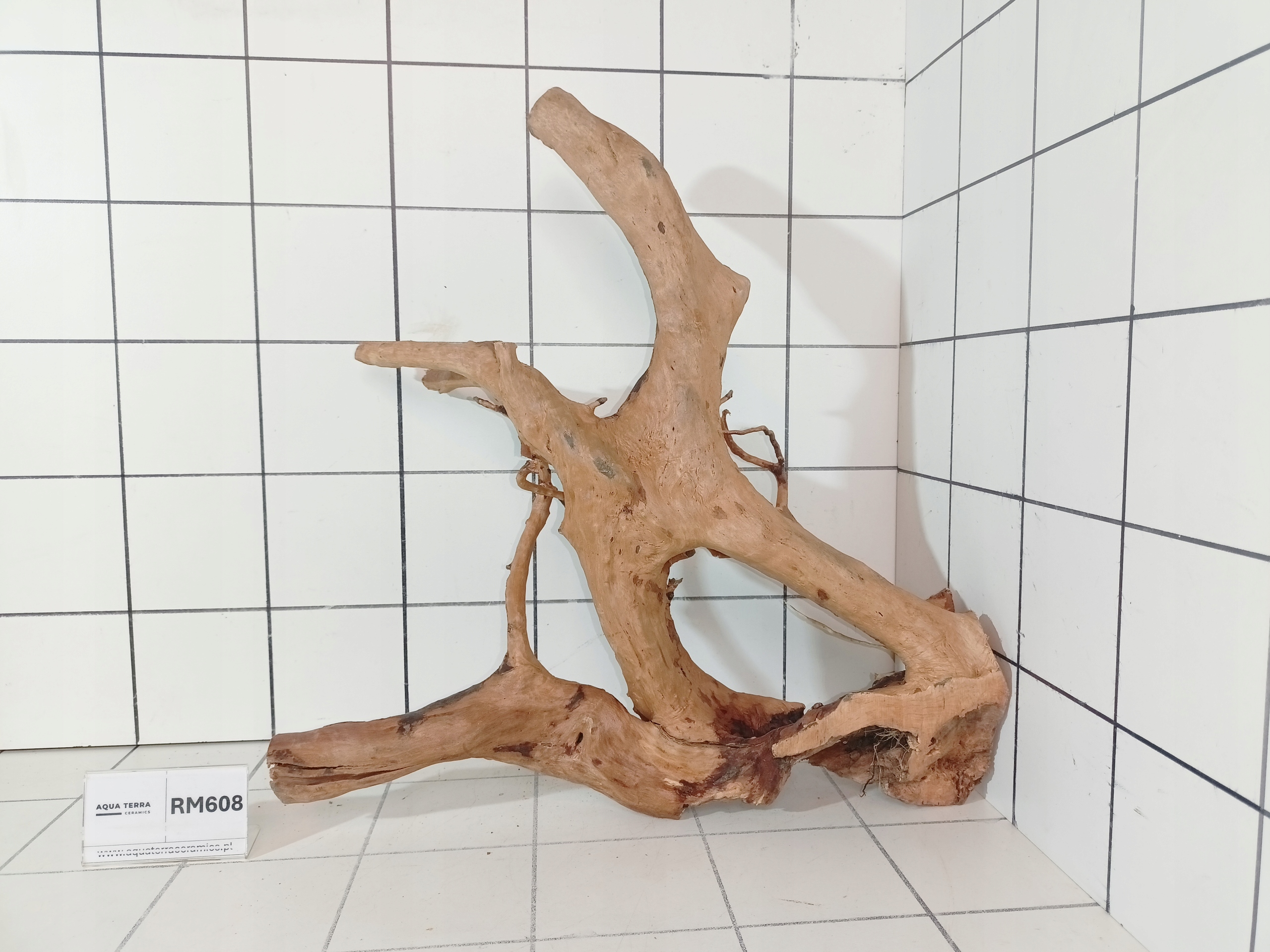 Korzeń Japoński Do Akwarium Terrarium Red Moor RM608 (to co na zdjęciu)