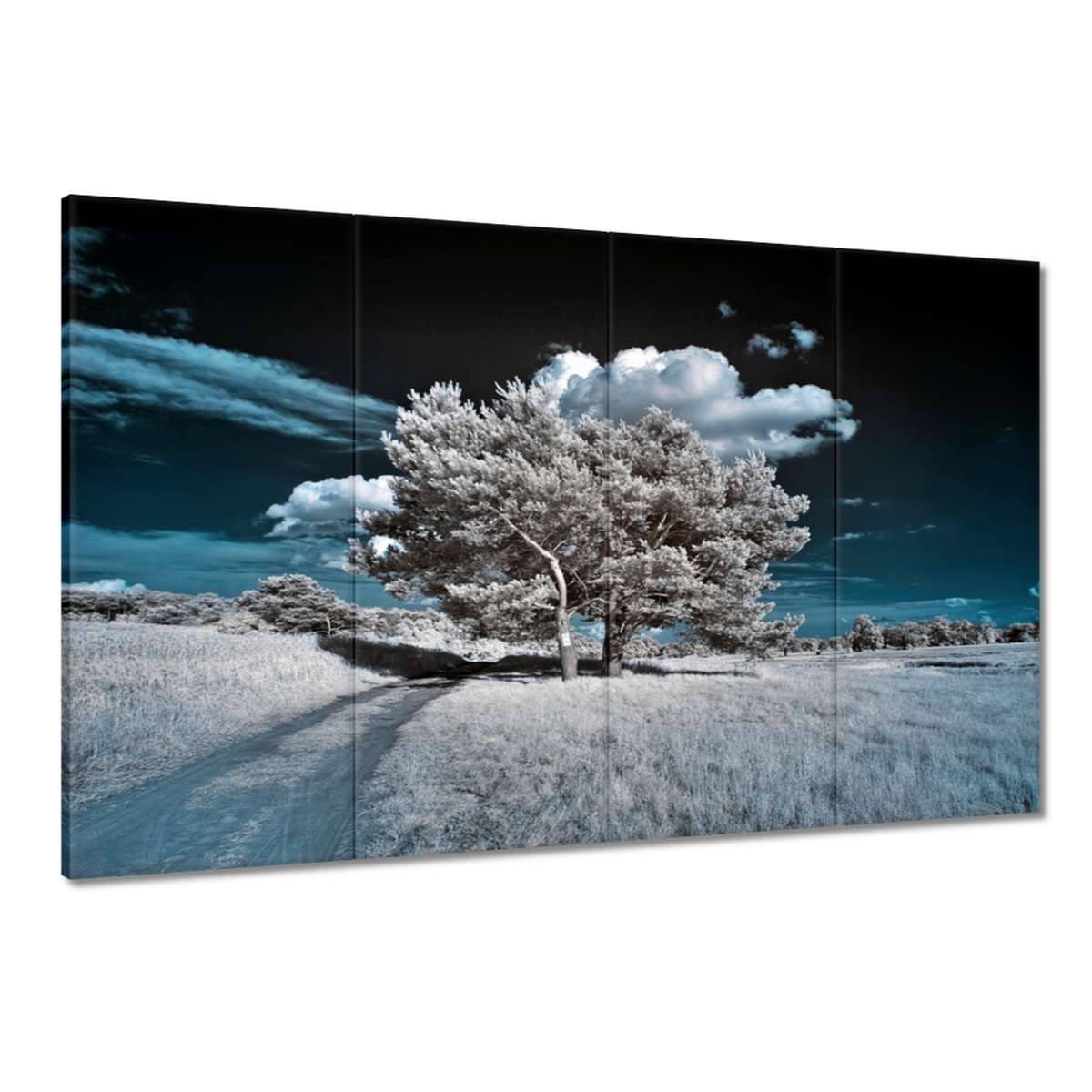 Obrazy 120x80 Stromek