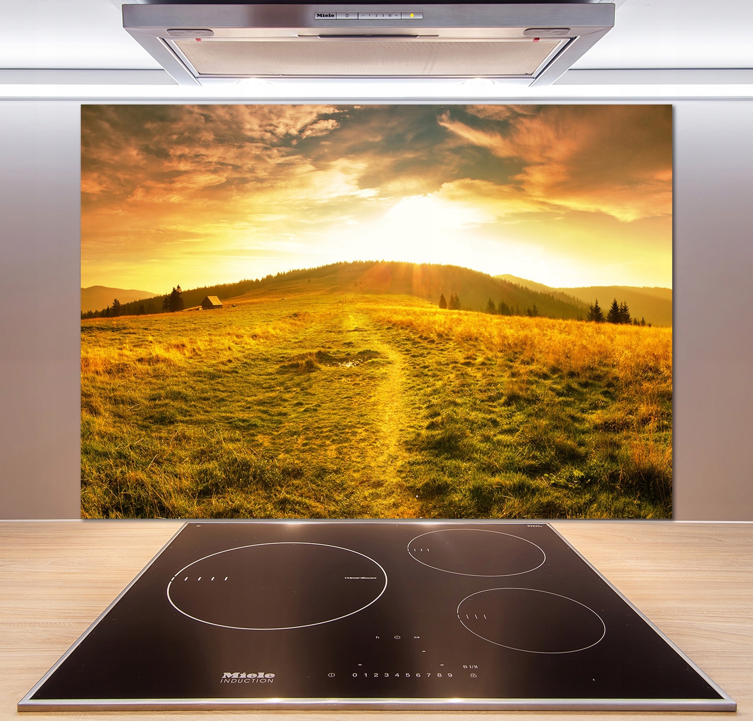 

Panel do kuchni Panorama Tatr 100x70 cm + Klej