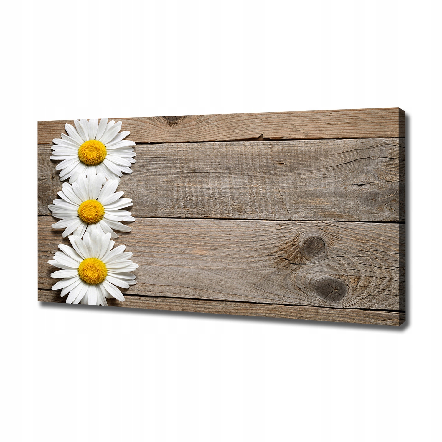 Fotoobraz obraz na plátně Sedmikrásky dřevo 120x60 cm