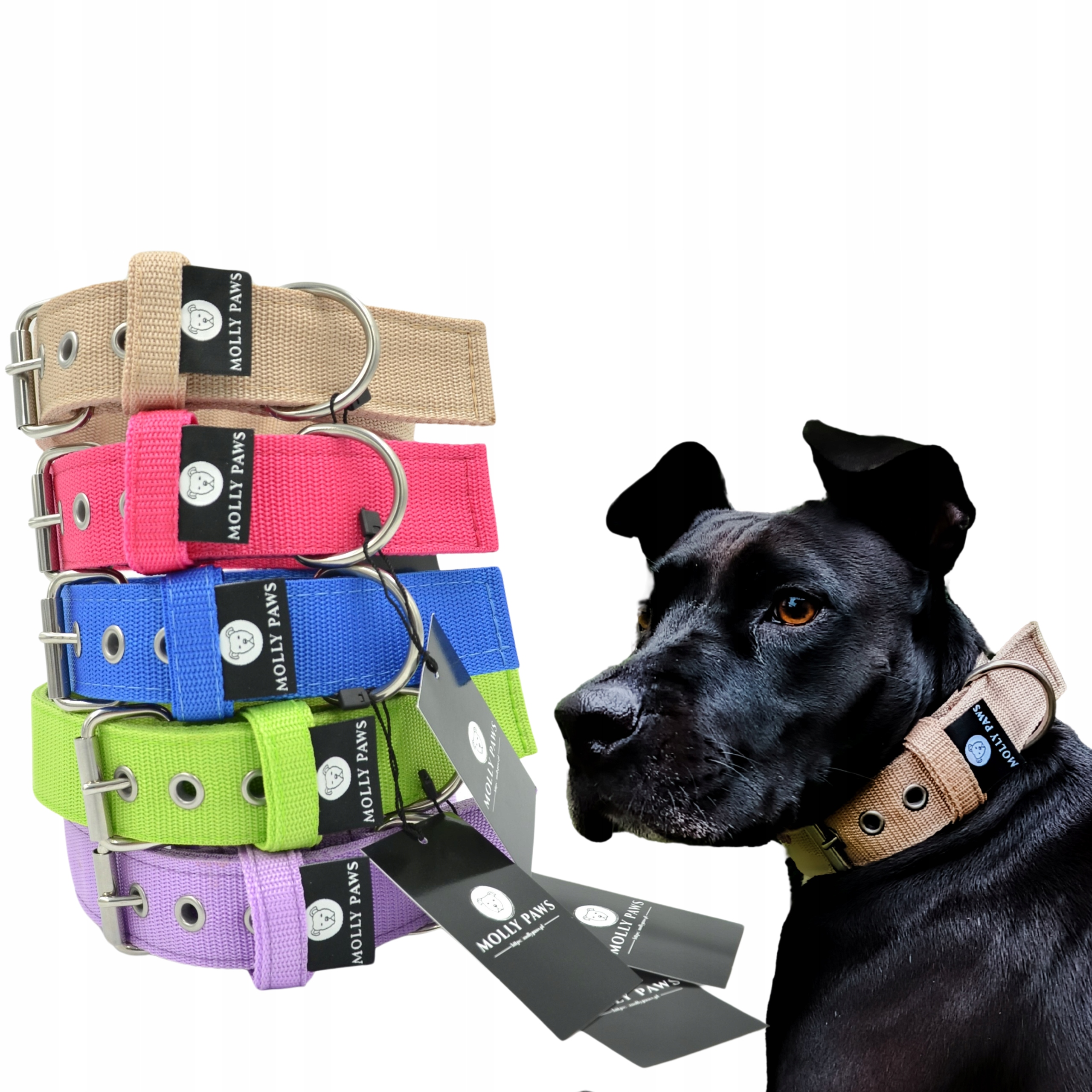 Levně Obojek pro psa 4 cm velikost 39 Cm 46 cm Všechny barvy