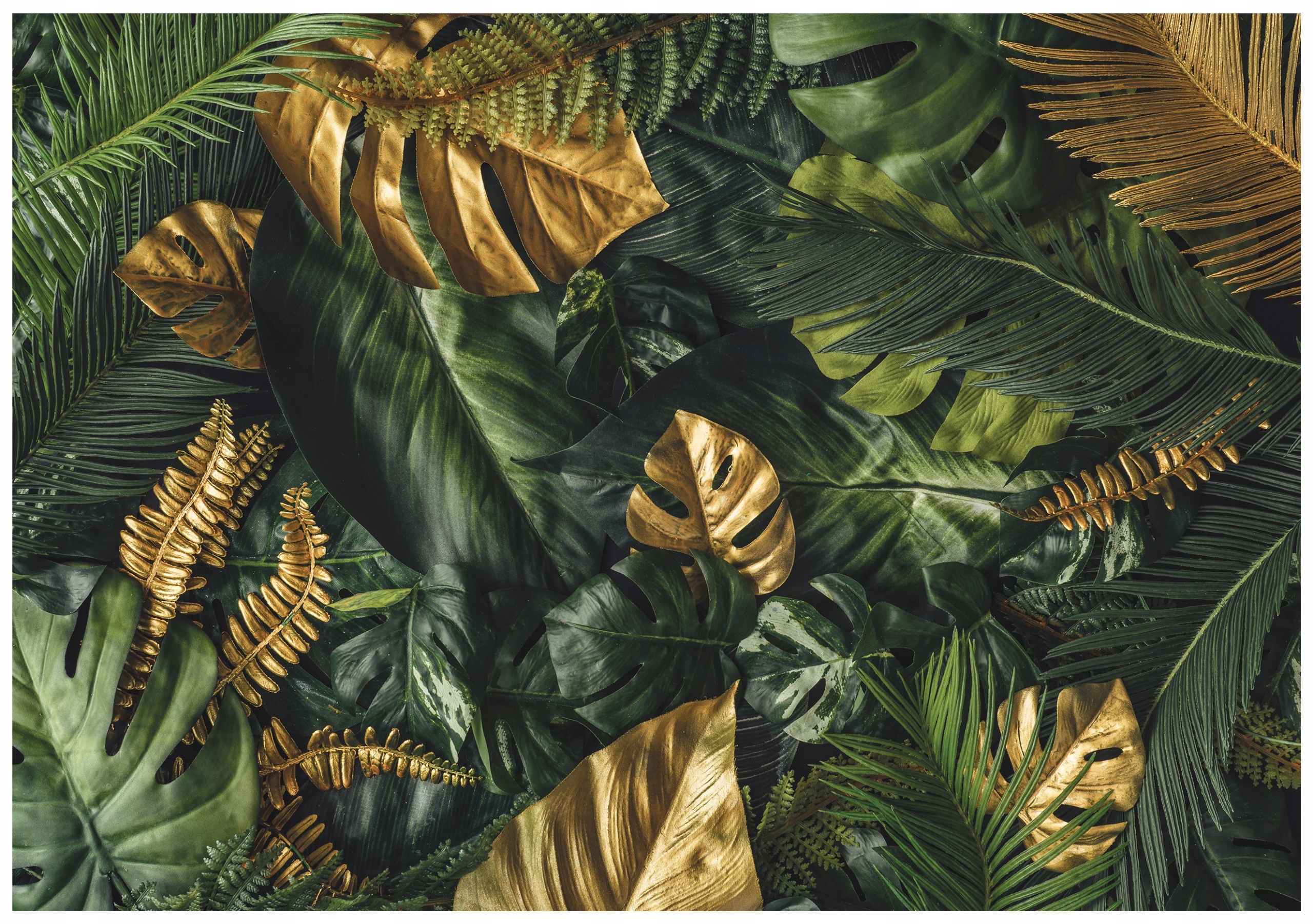 Fototapeta Listy Monstery Zlaté Zelené Do Ložnice Obývacího Pokoje Tapeta 350x250