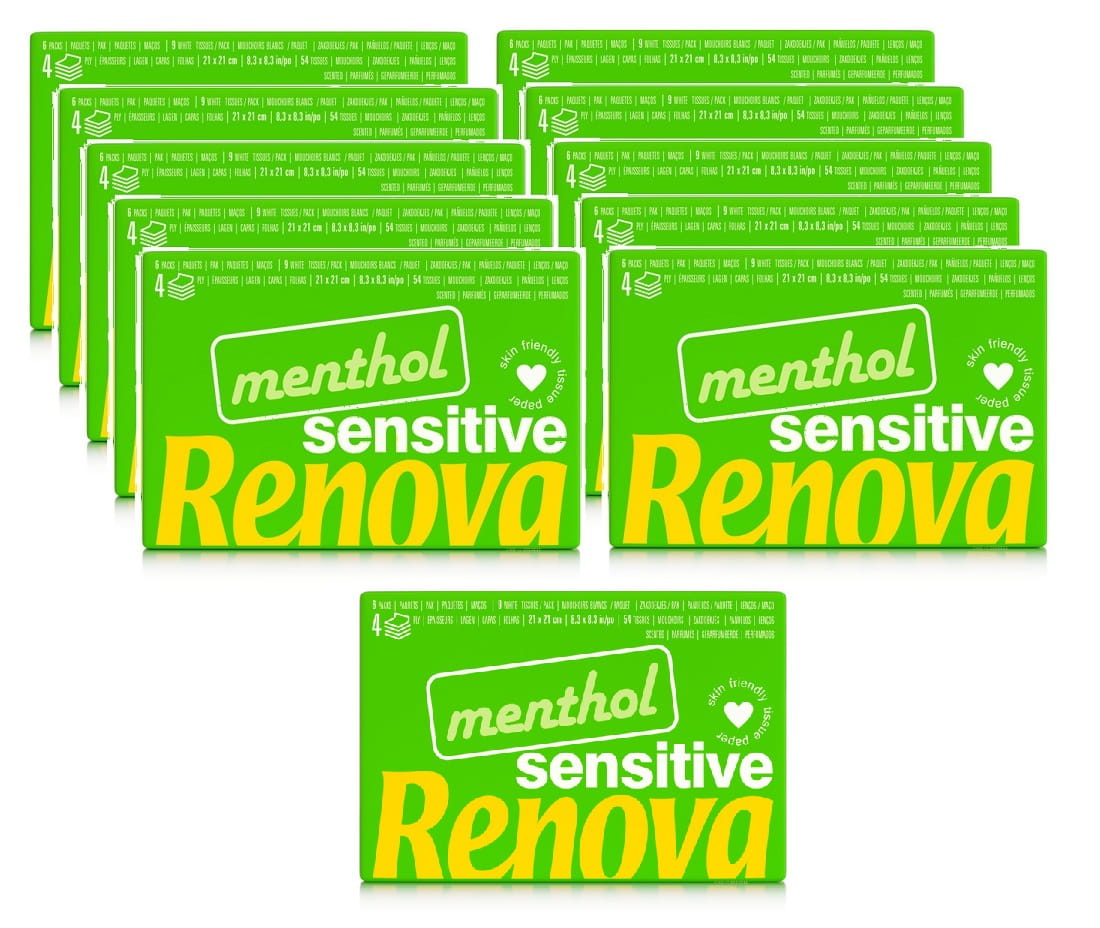 10x Chusteczki higieniczne Renova mentchol 6x9 +dodatkowe opakowanie