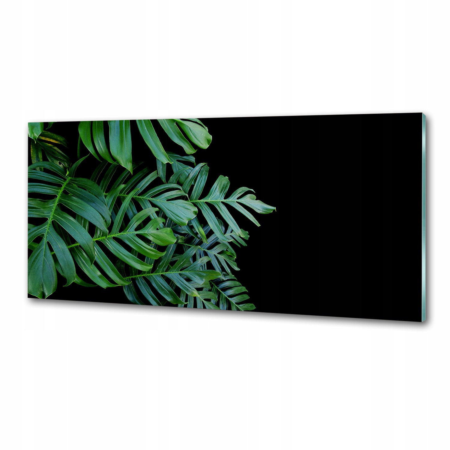 Panel mezi kuchyňským nábytkem Monstera 125x50 Lepidlo