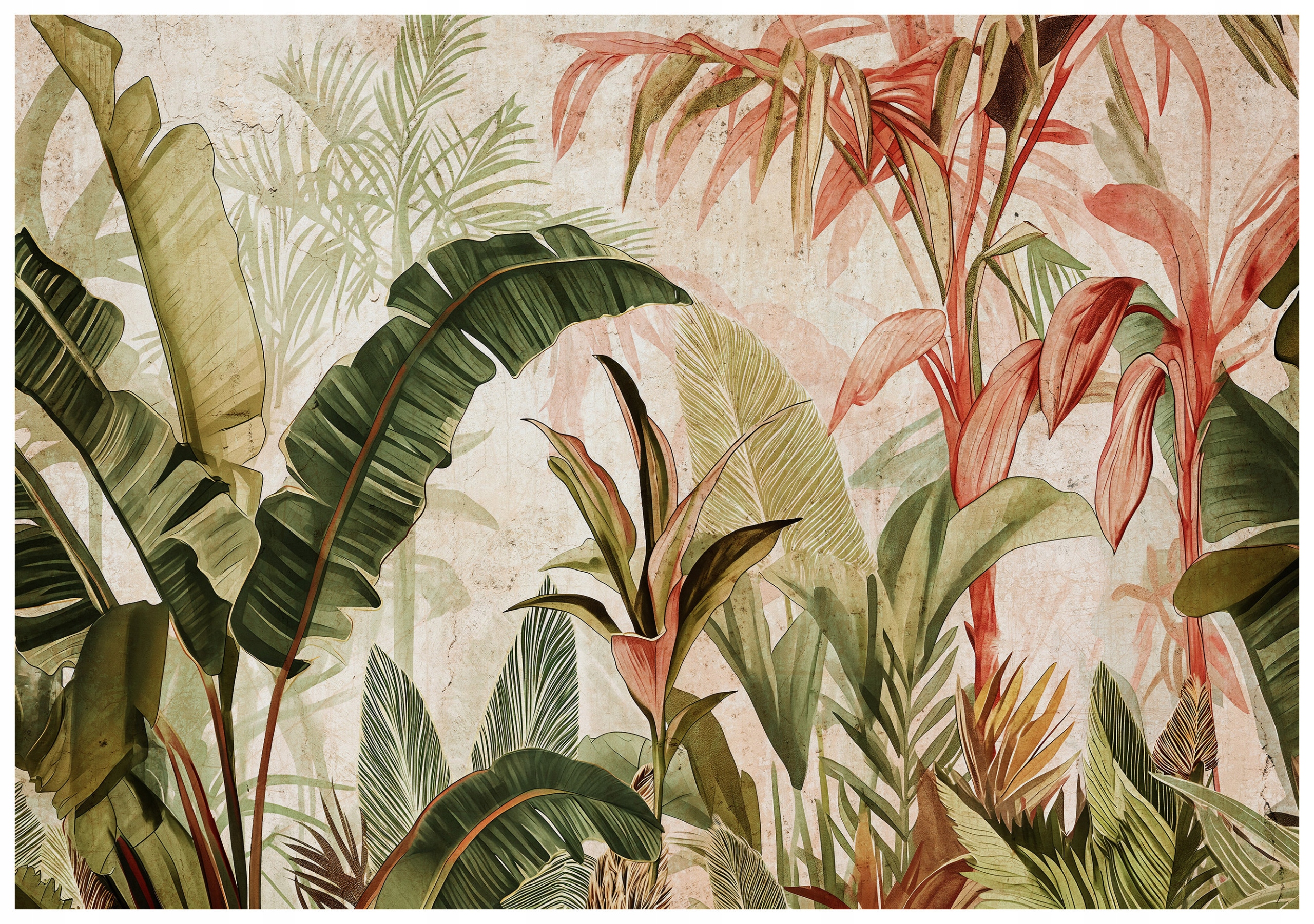 Fototapeta Tropické listy Rajský banán Zelená džungle 416x254 lepidlo