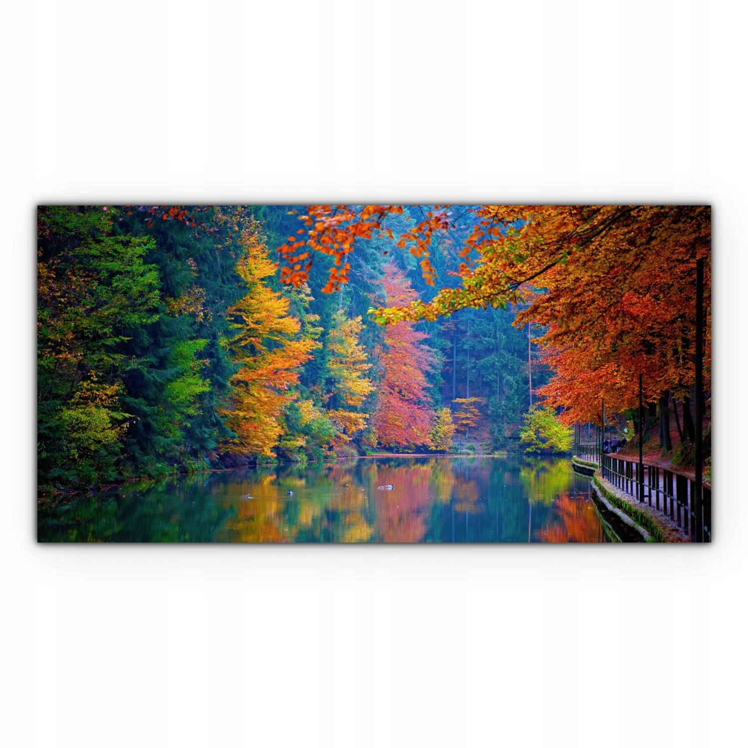 Canvas na nástěnném rámu 100x50 Podzimní les Příroda