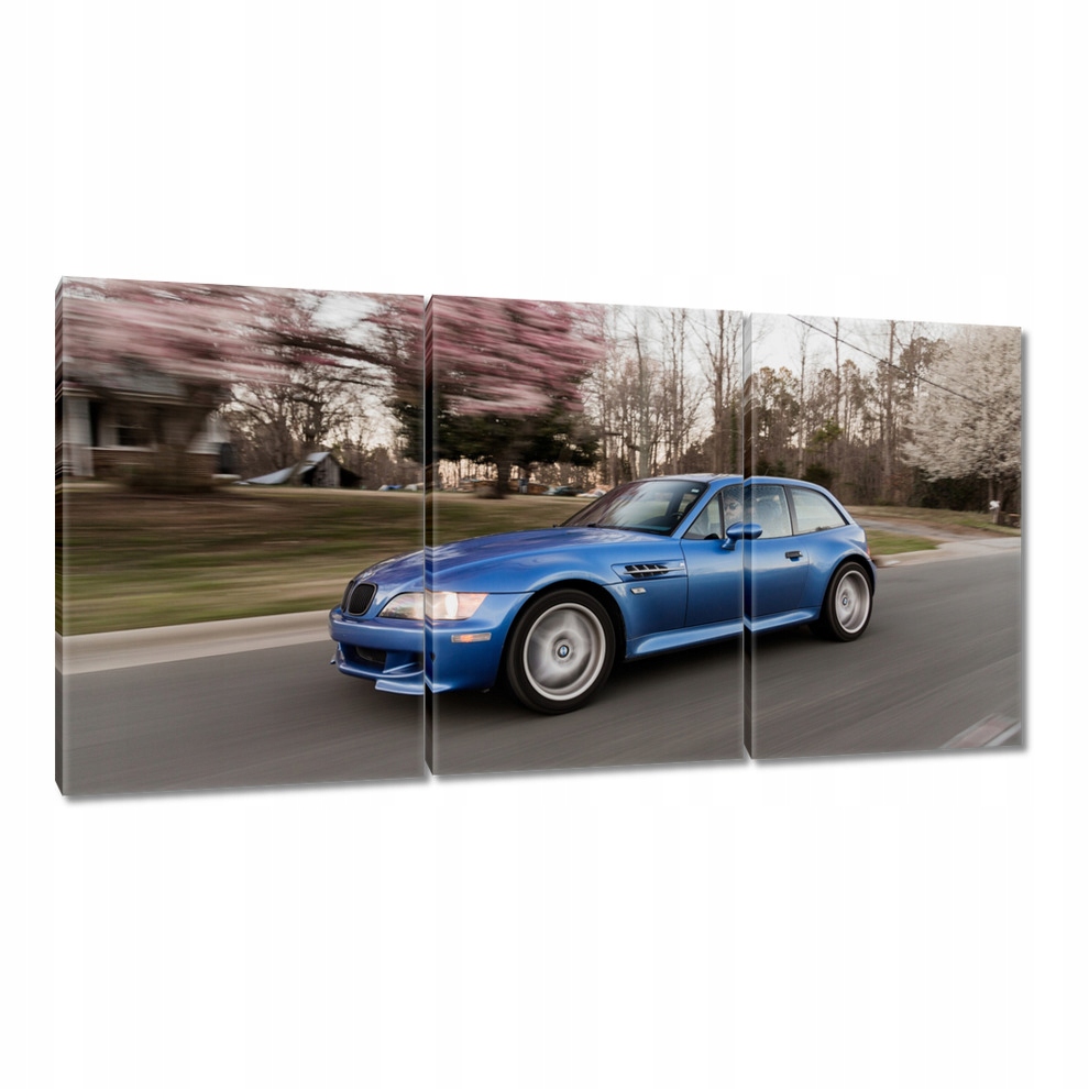 

Obrazy 120x60 Niebieskie Auto Bmw