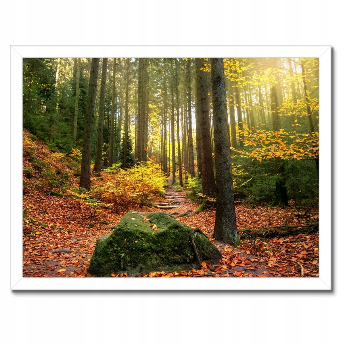 Plakáty v rámu 40x30 Krajina