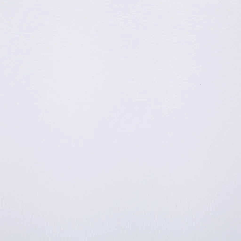 Szezlong VidaXL 281285 biały Powierzchnia spania - długość (cm) nie dotyczy