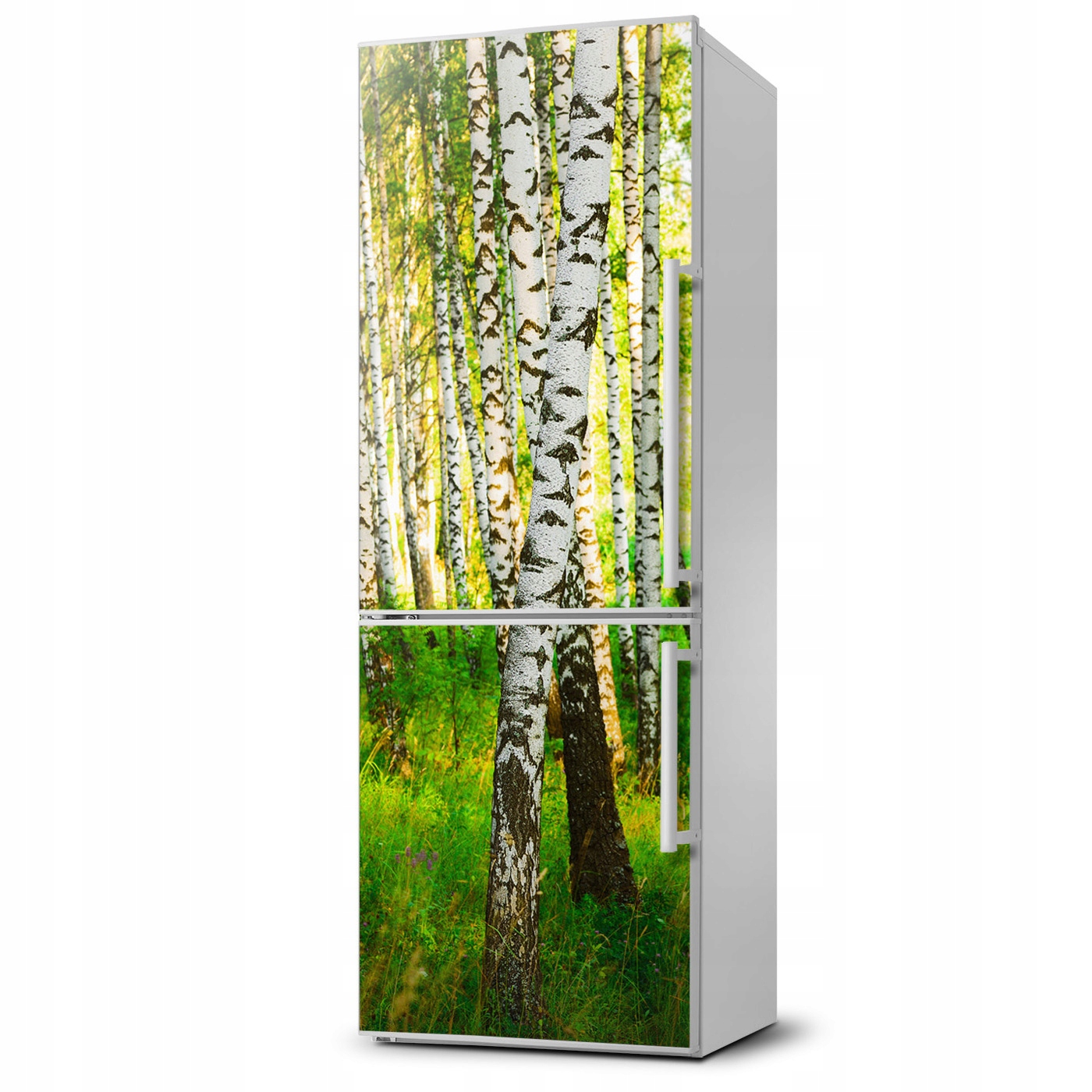 

Magnes na lodówkę magnetyczna Las brzozowy 60x180
