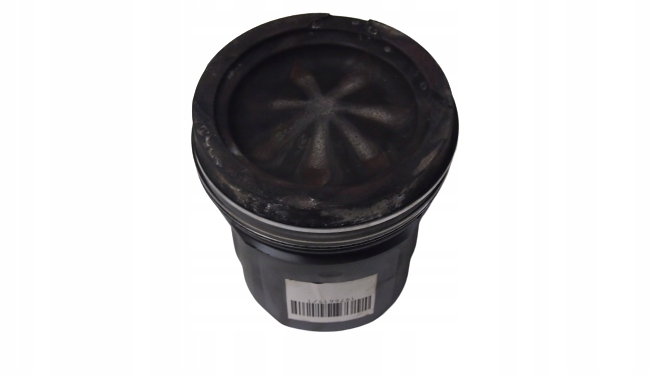 1976615 - ПОРШЕНЬ DAF EURO6