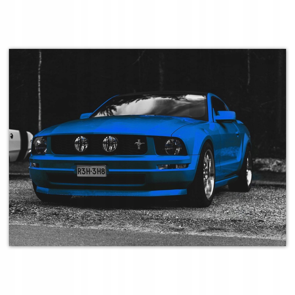 

Plakaty 70x50 Niebieskie Ford Mustang