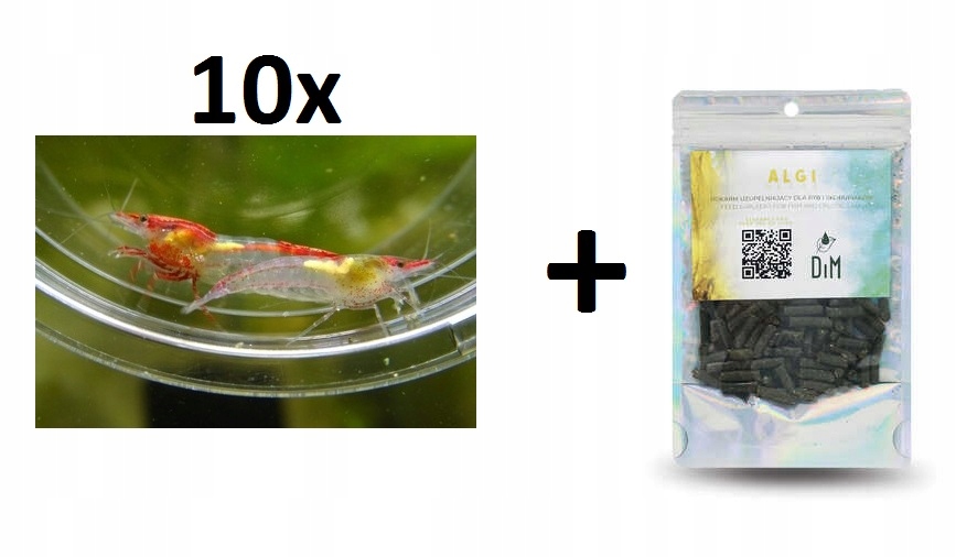 PAKIET 10 x Krewetka Red Rili + 1x Pokarm Algi 30g DIM