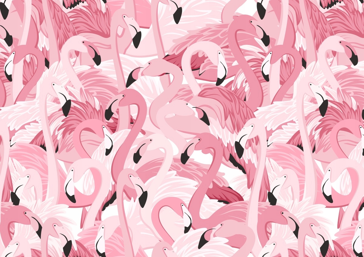 

Fototapeta Flizelinowa Różowe flamingi 208x146