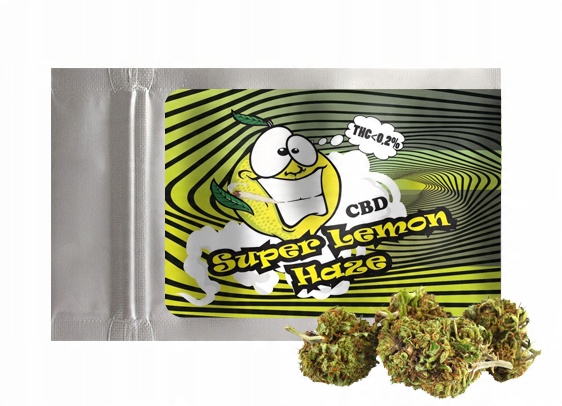 

1G Susz Konopny Kush Cbd Lemon Haze Badania