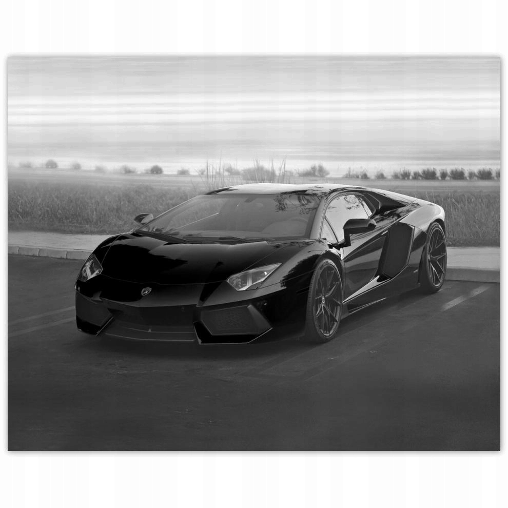 

Plakat 50x40 Sporotwe auto