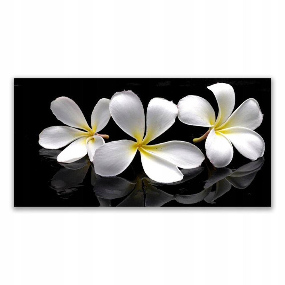 

Obraz na ścianę na prezent 140x70 Kwiaty Roślina